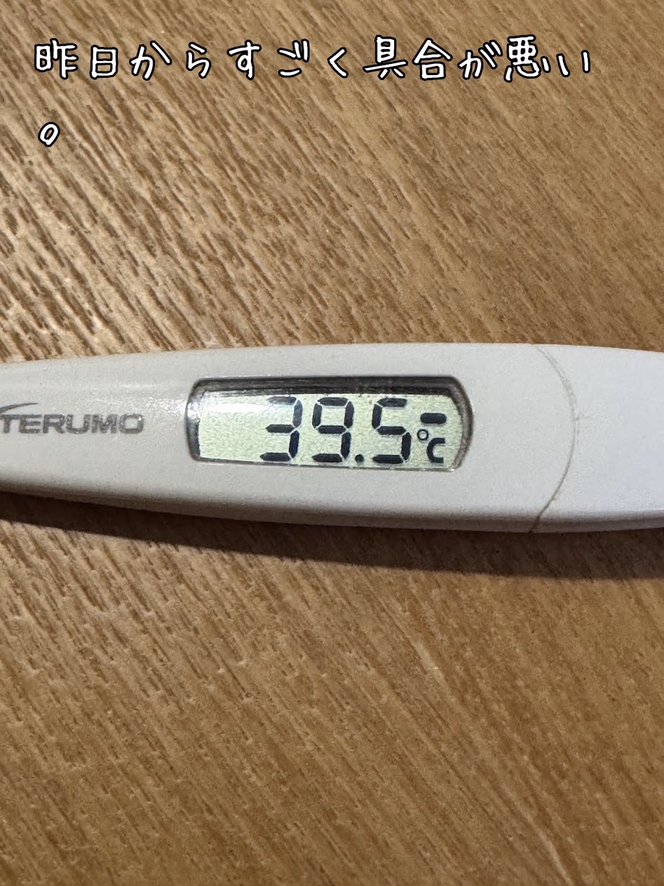 昨日からすごく具合が悪い。