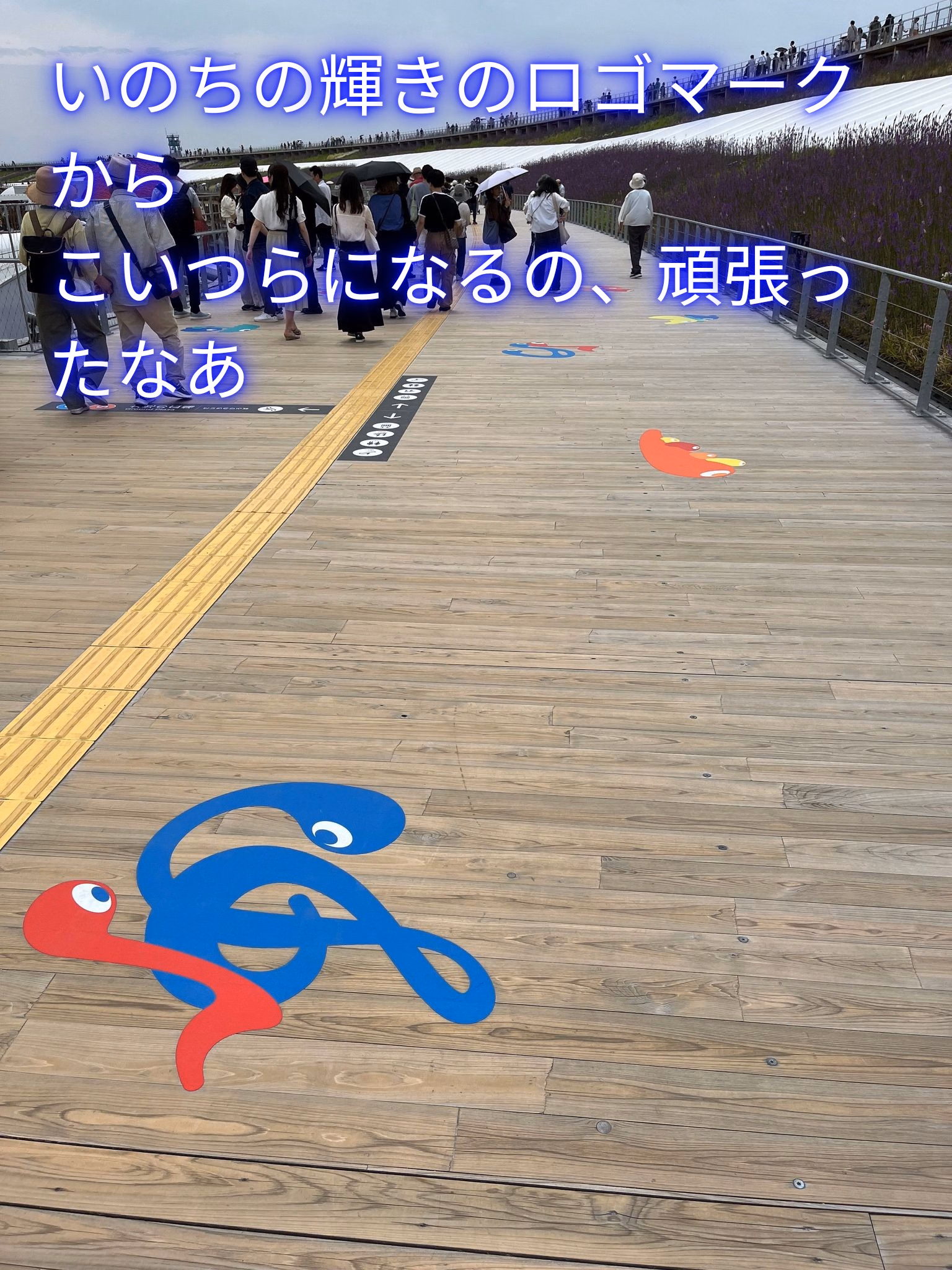 いのちの輝きのロゴマークから
こいつらになるの、頑張ったなあ