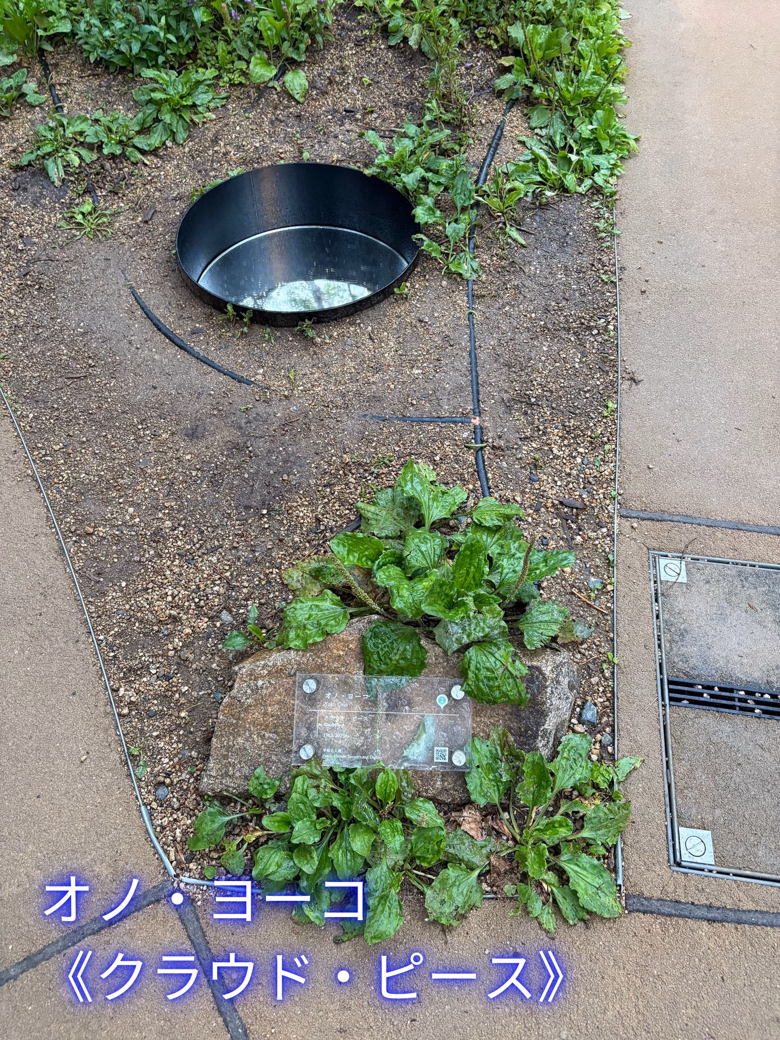 オノ・ヨーコ
《クラウド・ピース》