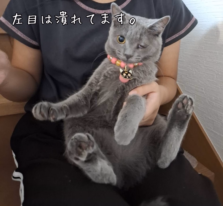 左目は潰れてます。